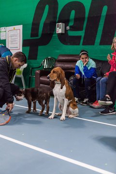 Meet and Greet am 10.12.16 272 - Meet and Greet mit Carina Witthoeft